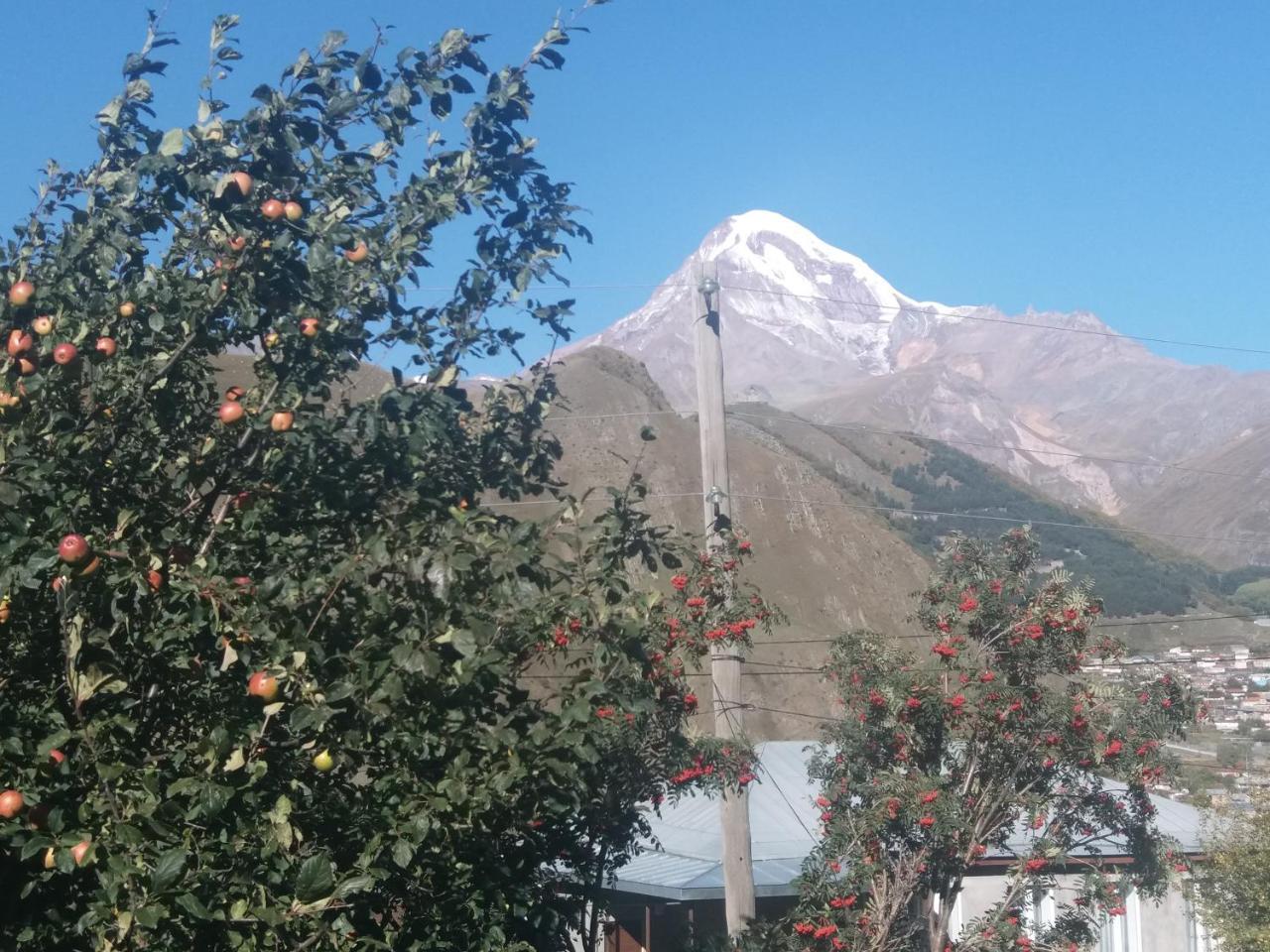 Guest House Sandro Kazbegi Εξωτερικό φωτογραφία