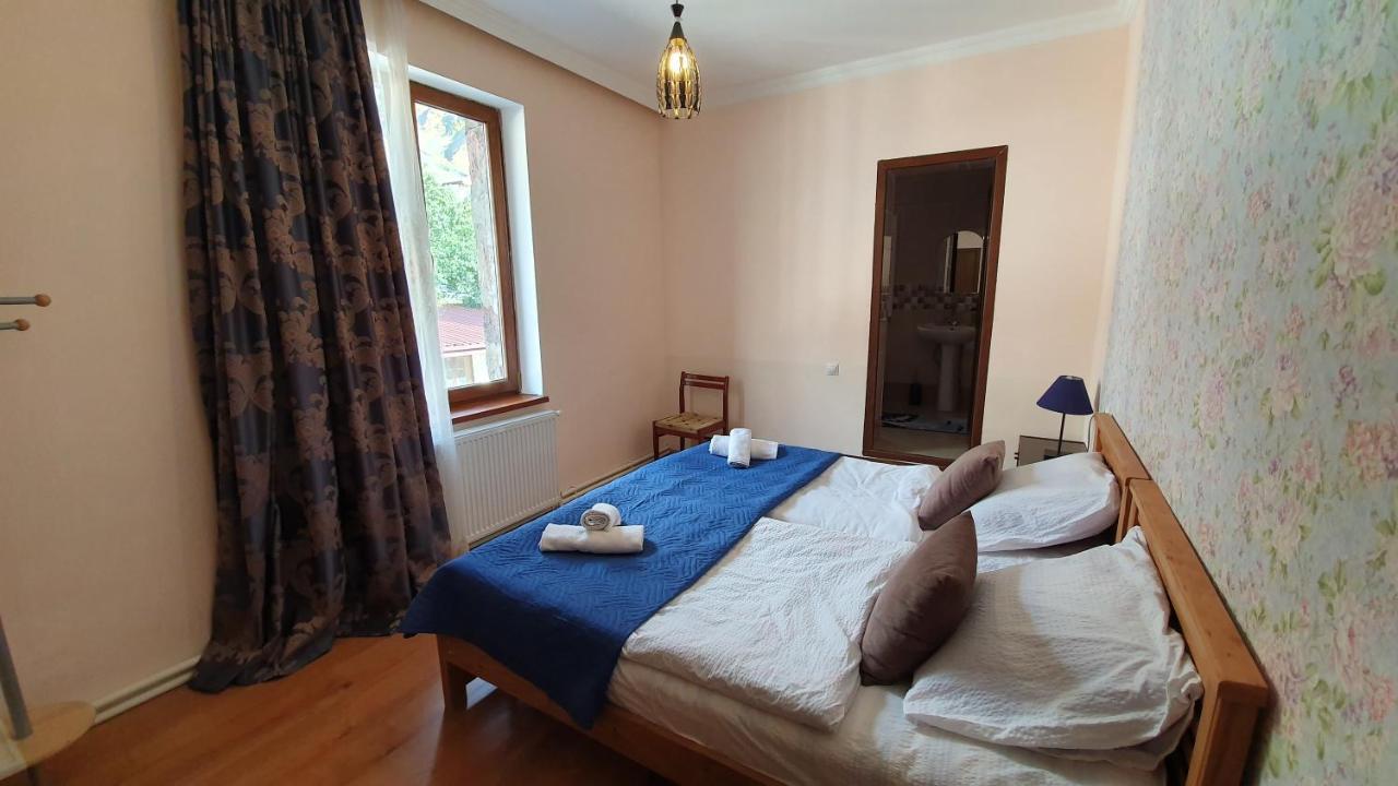 Guest House Sandro Kazbegi Εξωτερικό φωτογραφία